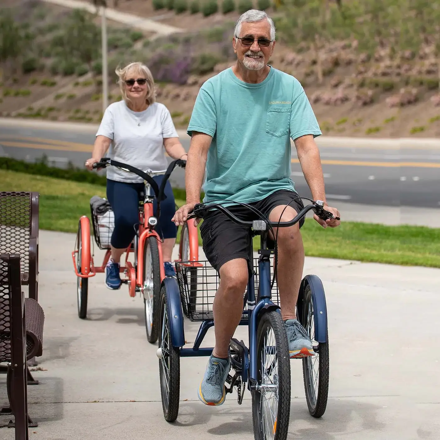 Viribus electric bike