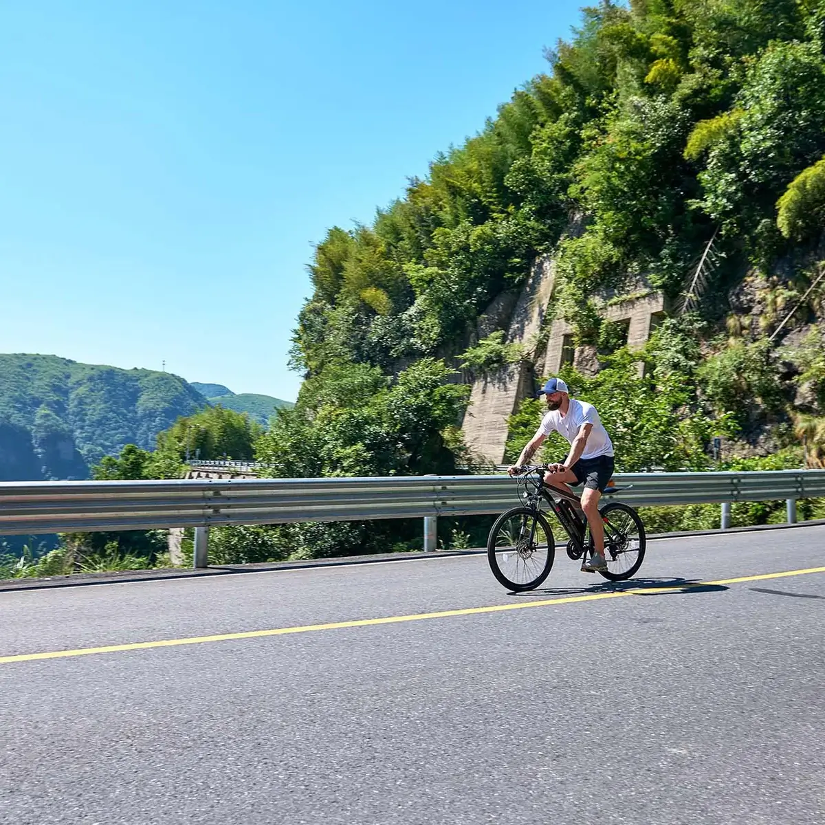 Viribus electric bike