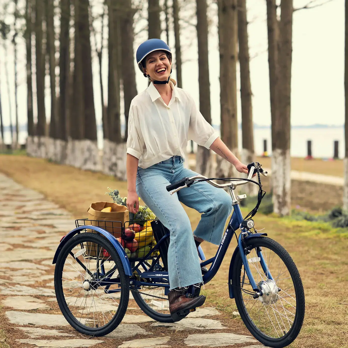 Viribus electric bike