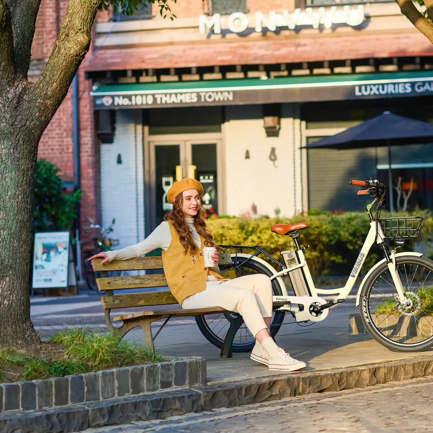 Viribus electric bike